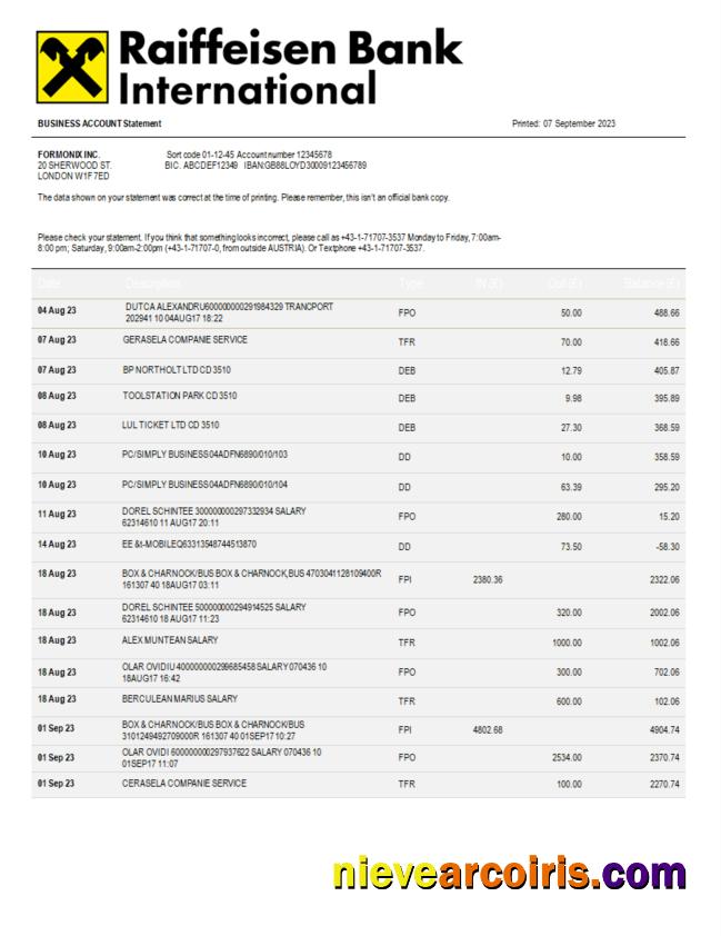Raiffeisen Bank International Bank International company statement